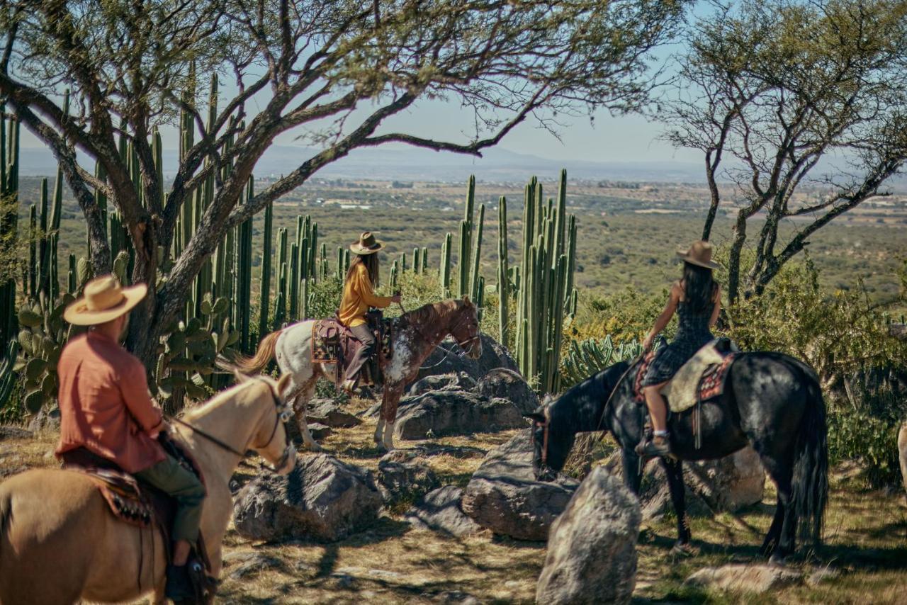 Our Habitas San Miguel De Allende Eksteriør billede